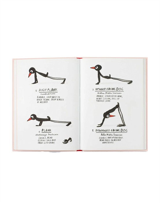 Yoga For Stiff Birds